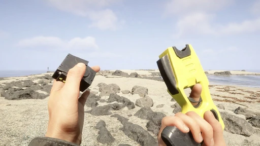 Stun Gun