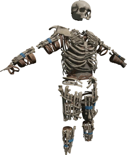 Bone Armor