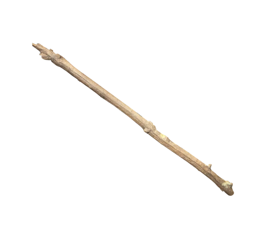 Stick Bed