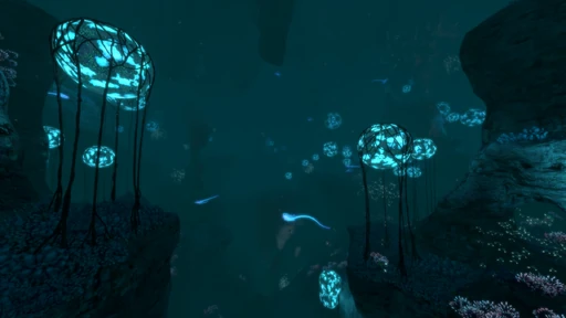 Deep Grand Reef
