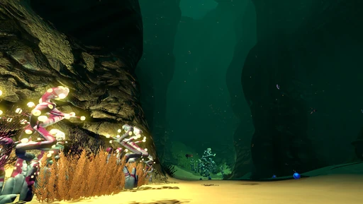 Deep Sparse Reef