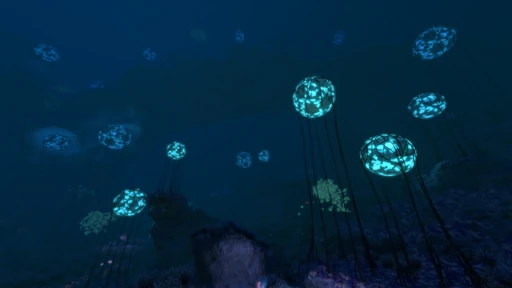 Grand Reef