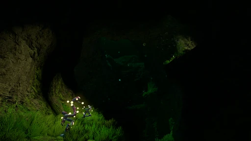 Kelp Forest Caves