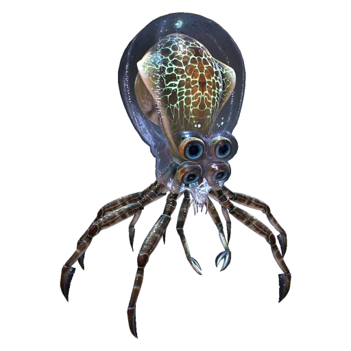 Crabsquid