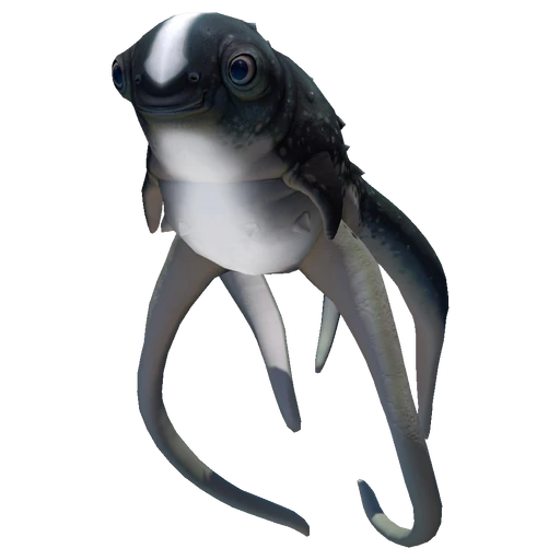 Cuddlefish