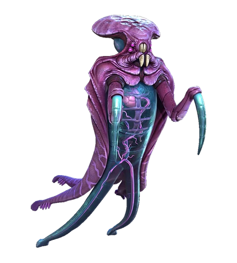 Warper