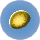 Gas Pod