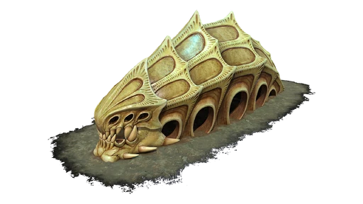 Unknown Ancient Skeleton