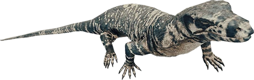 Lizard