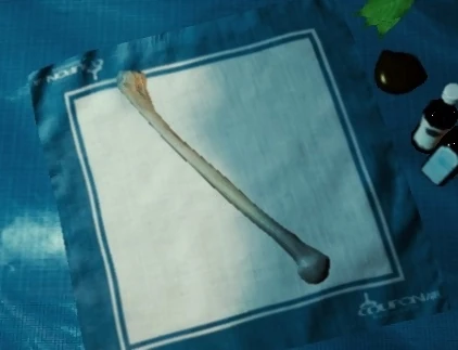 Bone