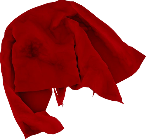 Cloth