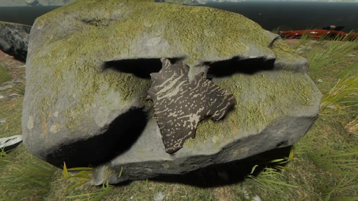 Lizard Skin