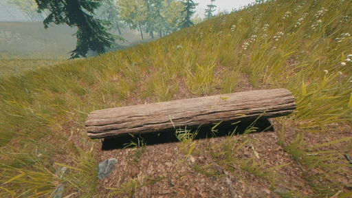 Log