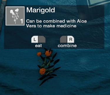 Marigold