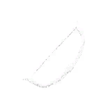 Modern Bow
