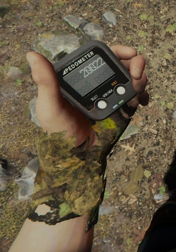 Pedometer