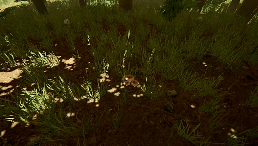 Poisoned Berries Or Mushrooms