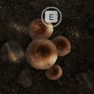 Puff Mushroom
