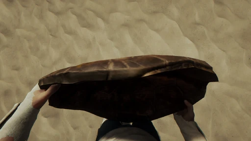 Turtle Shell