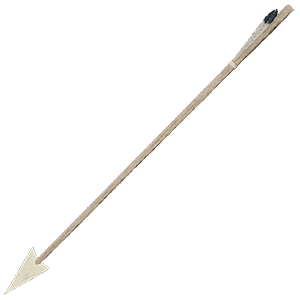 Bone Arrows