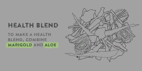 Herbal Medicine Plus
