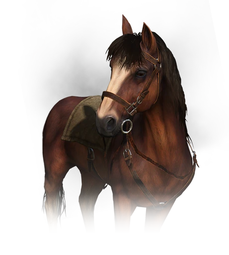 Roach