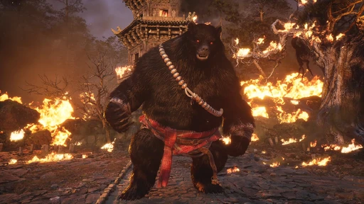 Black Bear