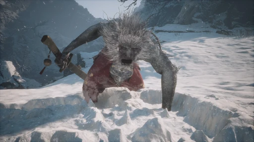 Macaque Chief