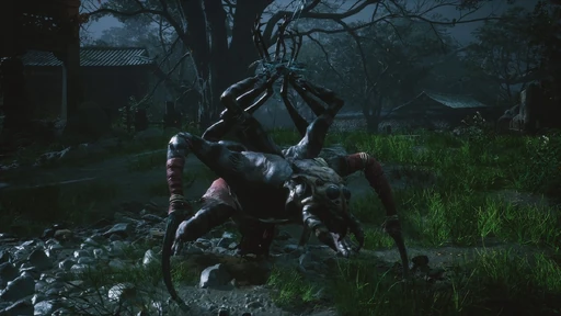 Puppet Spider