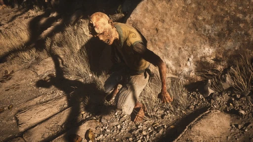 Withered Corpse