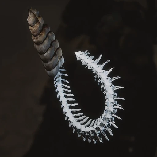 Spine In The Sack