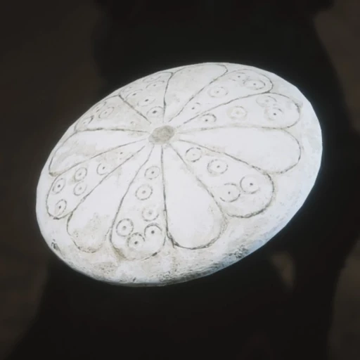 Tridacna Pendant