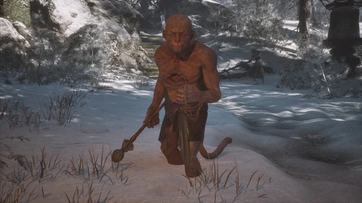 Circus Monkey