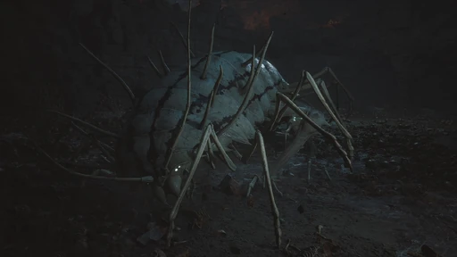 Centipede Guai